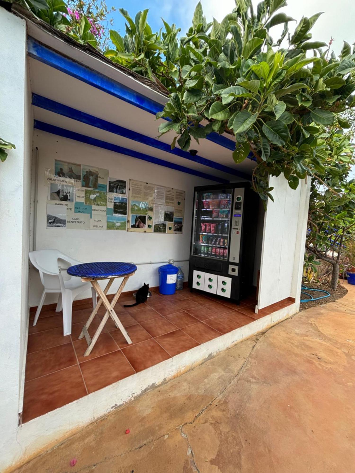 Apartamentos Y Habitaciones Villa Marina La Caleta  Ngoại thất bức ảnh
